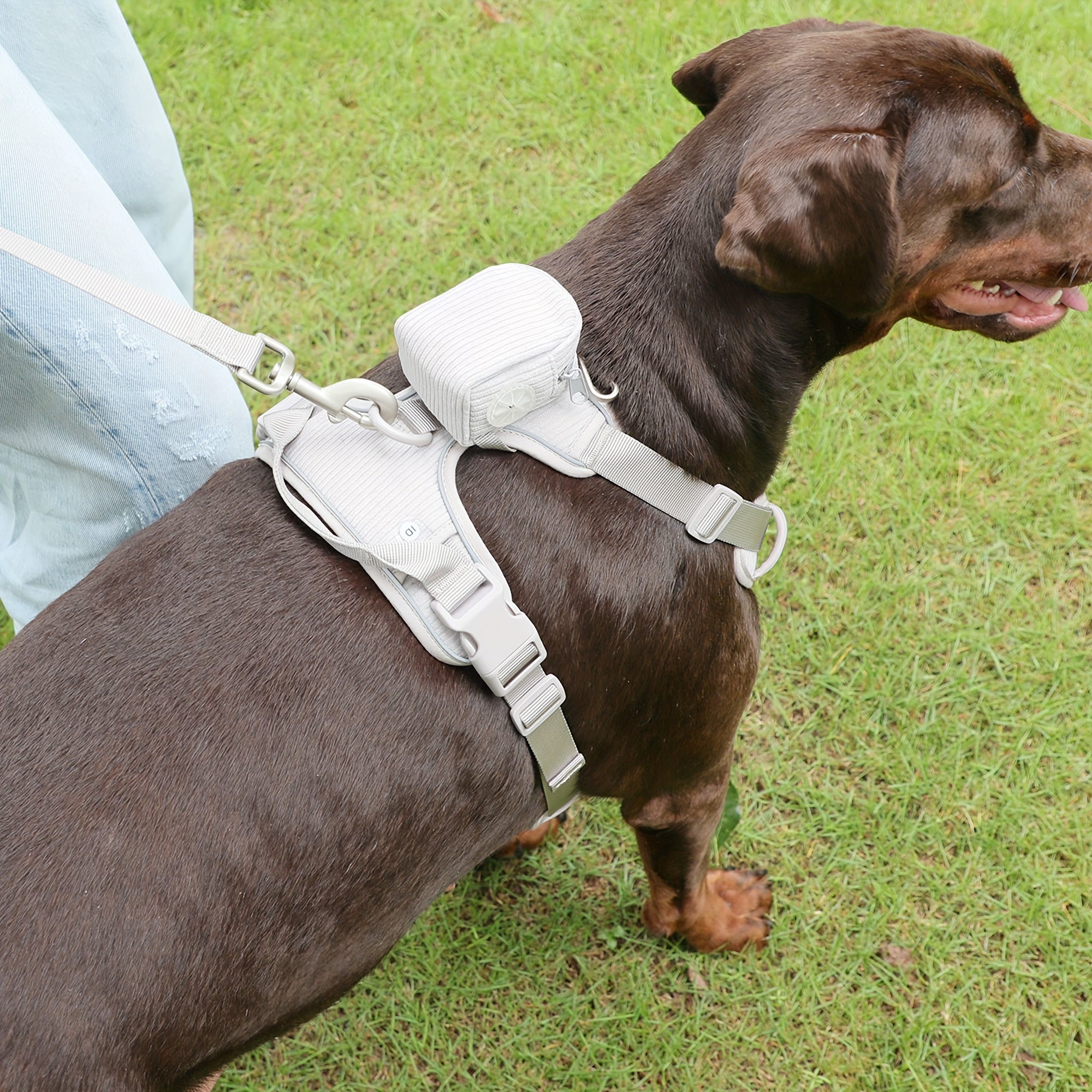 Fashionable And Cute Corduroy Pet Harness