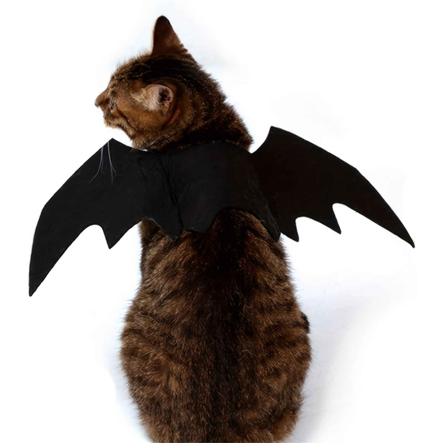 Solid Color Polyamide Bat Wings Cat Costume - All-Season Pet Apparel for Mini & Toy, Small Breeds - Woven Non-Battery Halloween Cat Bat Wing Dress-Up Accessory