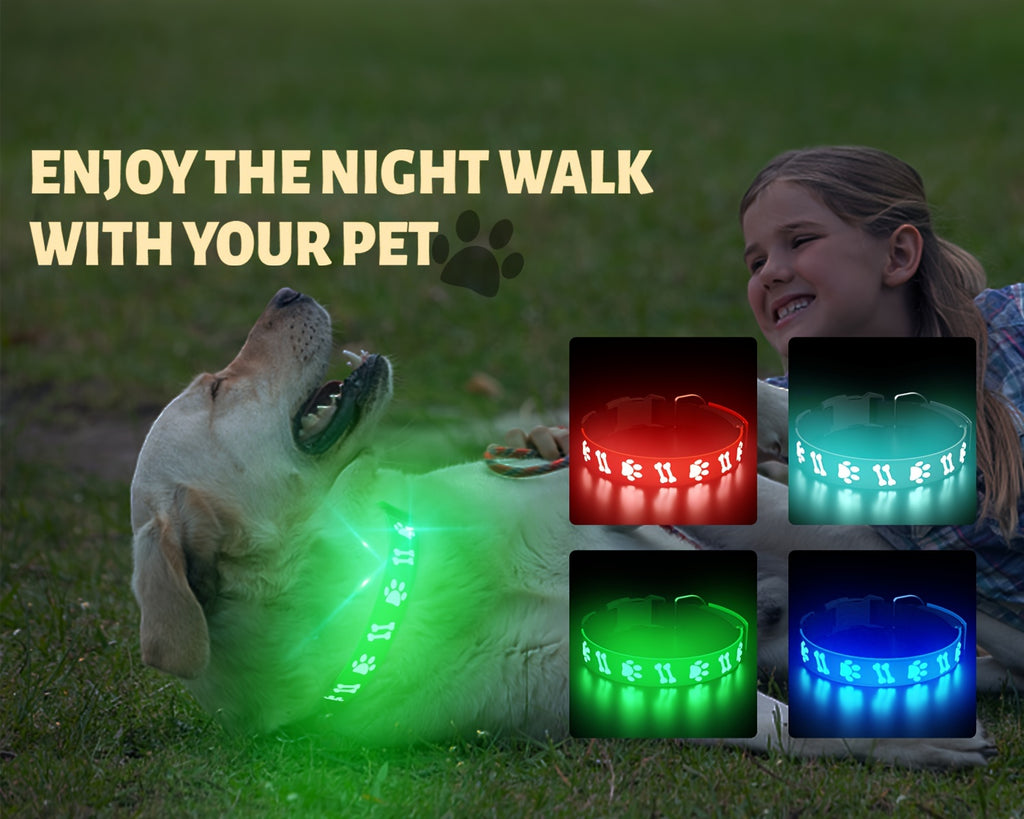 LED Dog Collar