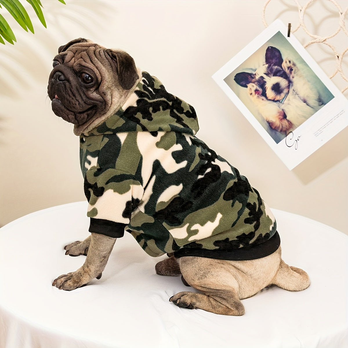 BABANY BEBE Dog Hooded Jacket - Camouflage Print Winter Coat for Small to Medium Dogs, Warm Outdoor Pet Apparel with Snap Buttons, Hand Wash Only, Stylish Fall & Winter Dogwear, Dog Winter Jacket, Cozy Dogwear, Durable Dogwea