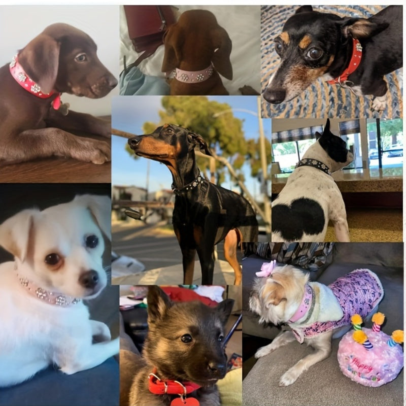 Adjustable Bling Dog Collar with Flower Rhinestones, Hand Wash Only, for Small to Large Pets, Cute Sparkling Pet Collar