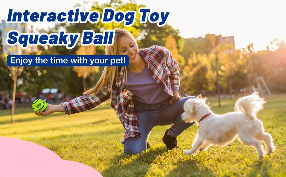 Durable Squeaky Dog Chew Toy Ball
