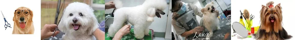 Purple Dragon Dog Grooming Scissors 7" Japan Stainless Straight Shears Pet Thinning Scissors Dog Curved Shears Chunker Z3003