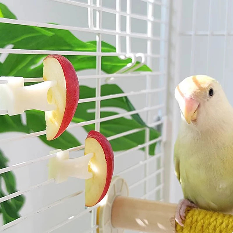 5Pcs Fruit Fork Parrot Pet Bird Plastic Food Holder Feeding on Cage for Hamster Rat 2 Size S/L Fruit Fork Parrot Fruit Fork