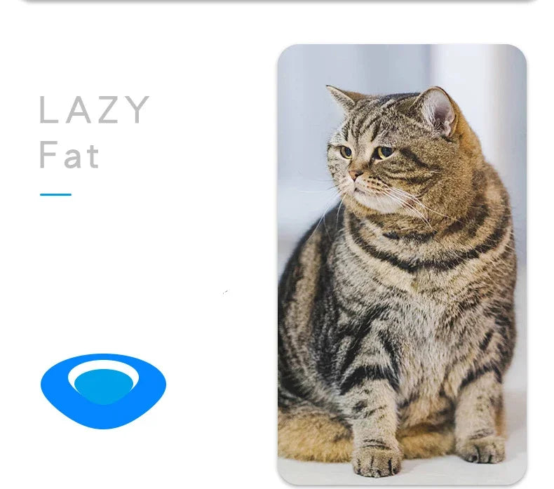 Mini jouet électrique interactif en forme de coccinelle pour chien et chat