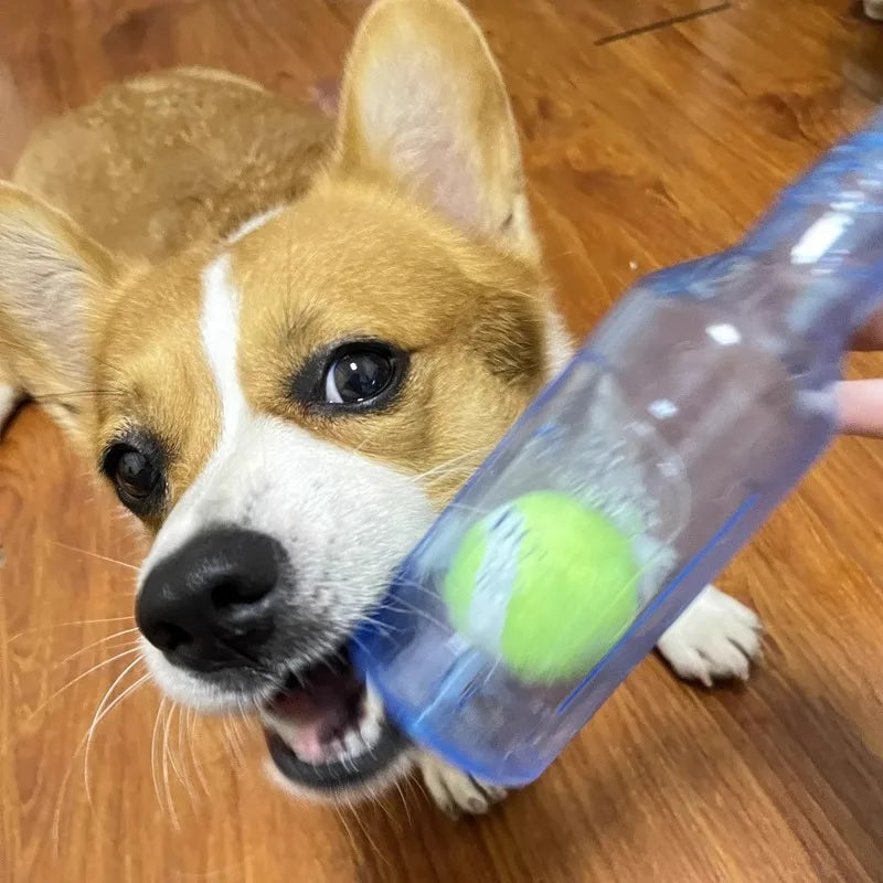 Jouet à mâcher pour animaux de compagnie TPR résistant aux morsures bouteille de bière avec balle de tennis jouet chiot dents grincant chien mâchant jouets interactifs grinçants