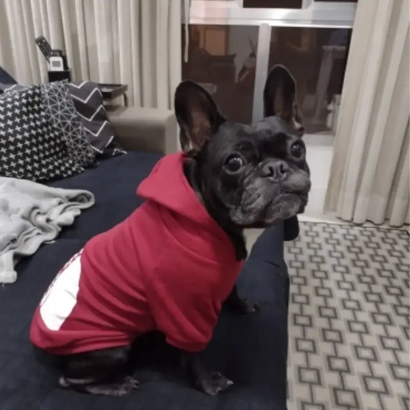 Sudadera con capucha para perro, temporada de otoño e invierno, ropa para perros grandes, estampado de texto en la cara del perro, chaqueta para bulldog francés y labrador.