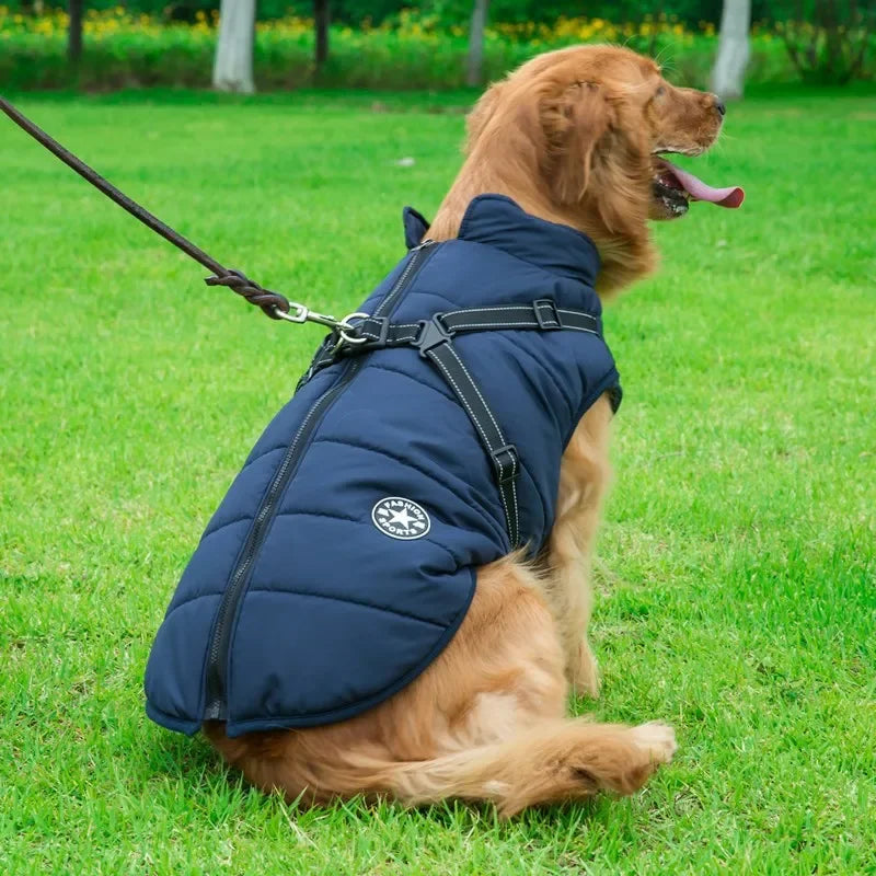 Chaqueta grande con arnés para perro, ropa cálida de invierno para labrador, abrigo impermeable para perro grande, trajes para chihuahua y bulldog francés.
