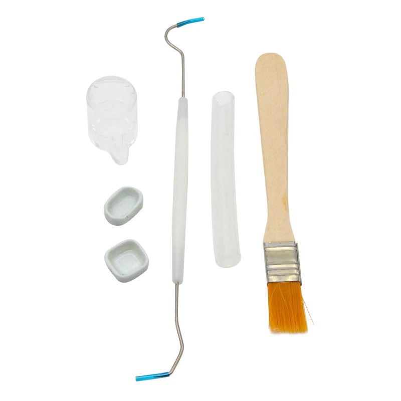 Ant Farm Novice Tools Set with Food Feed Water Bowl for Ant Nest Pet Anthill Toolkit Dropper Channel Hose Ants House Workshop