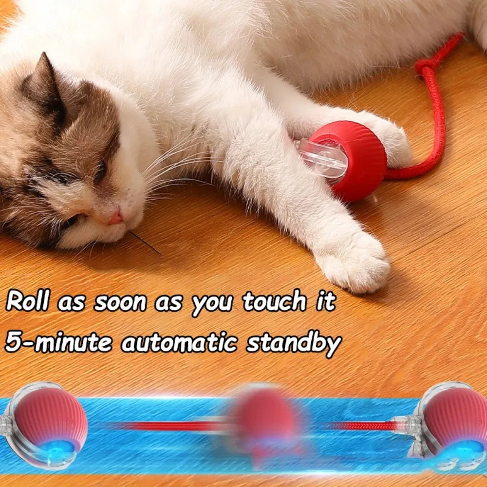 New Cat Interactive Ball Toy Automatic Rolling Ball Faux Tail Rechargeable Smart Pet Electric Toy Dog Cat Training Imitate Mouse