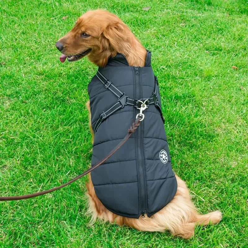 Chaqueta grande con arnés para perro, ropa cálida de invierno para labrador, abrigo impermeable para perro grande, trajes para chihuahua y bulldog francés.