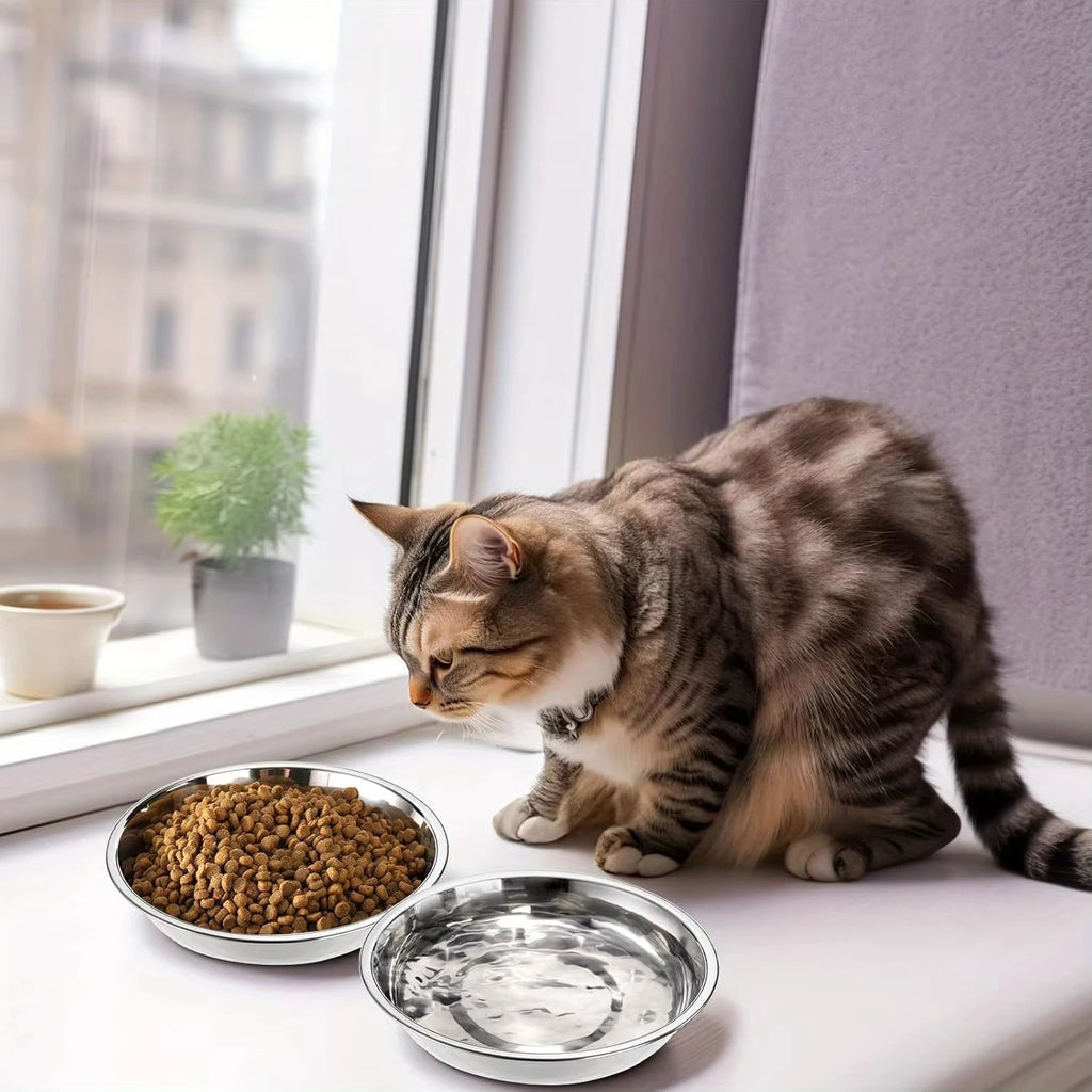 Slip-Resistant Stainless Steel Cat Bowl Set – Low-Profile Wide Design for Kittens & Small Pets Anti-Tip Base Feeding Station