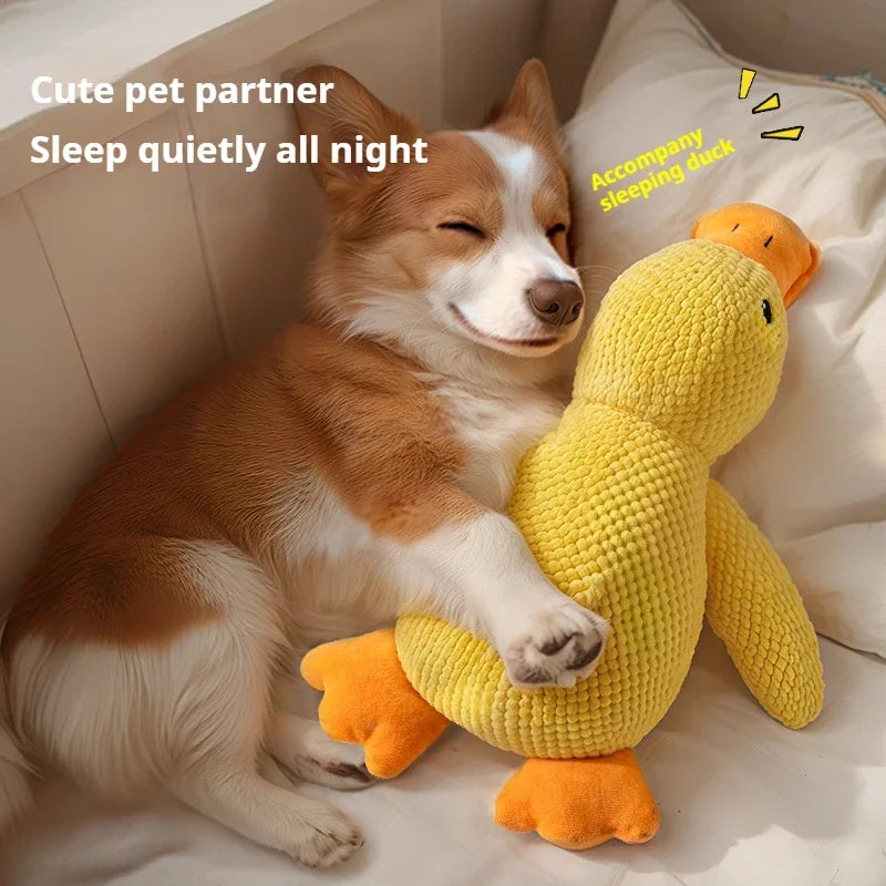 Jouet en peluche pour chien, compagnon endormi, canard résistant aux morsures, grincement des dents, soulagement du bruit, jouet sonore de canard