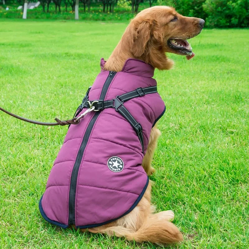 Chaqueta grande con arnés para perro, ropa cálida de invierno para labrador, abrigo impermeable para perro grande, trajes para chihuahua y bulldog francés.