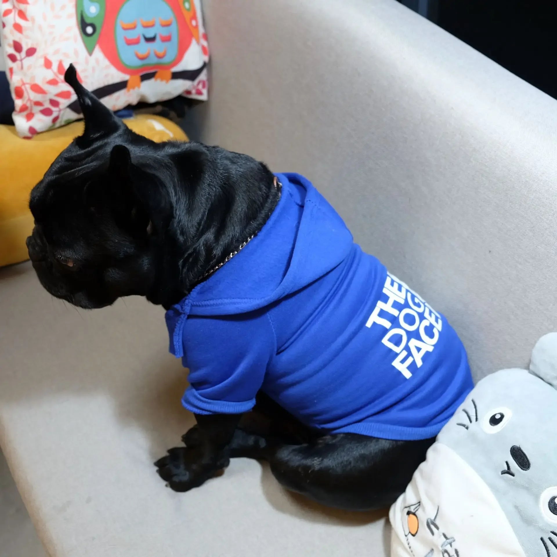 Sweats à capuche pour chiens de compagnie, vêtements pour grands chiens, automne et hiver, motif de visage de chien, bouledogue français, labrador, veste