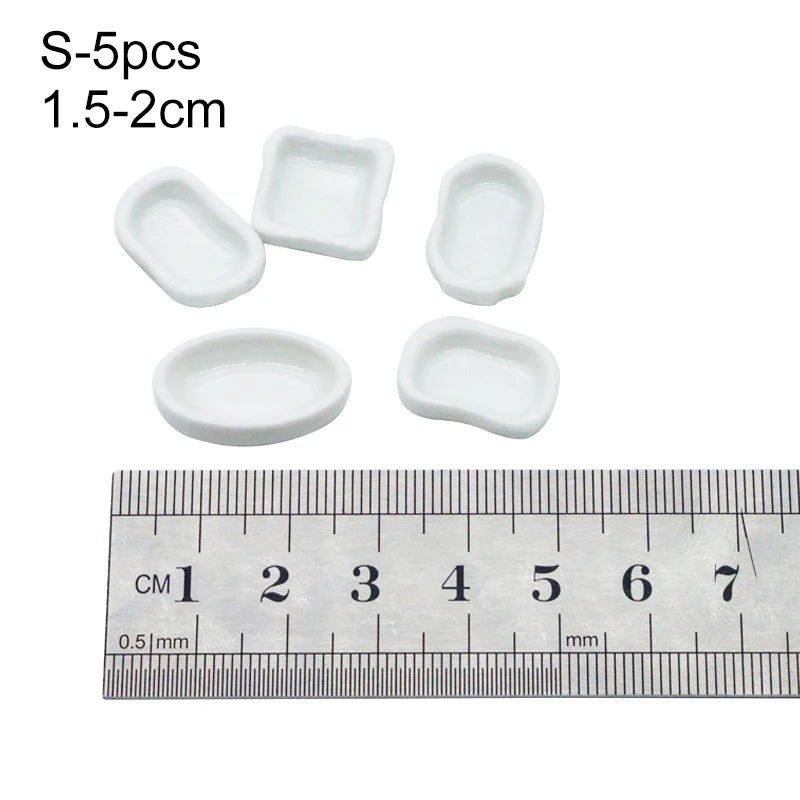 Various Size Ant farm Feeding Plate Insect Water Food Bowl Feeder Container Tool for Pet Anthill Ant House Ant Nest Accessories