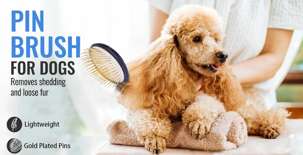 Pet Grooming Detangler Pin Dog Brush for Shedding & Removing Loose Fur, Lightweight ABS with Gold Plated Pins for Long Hair
