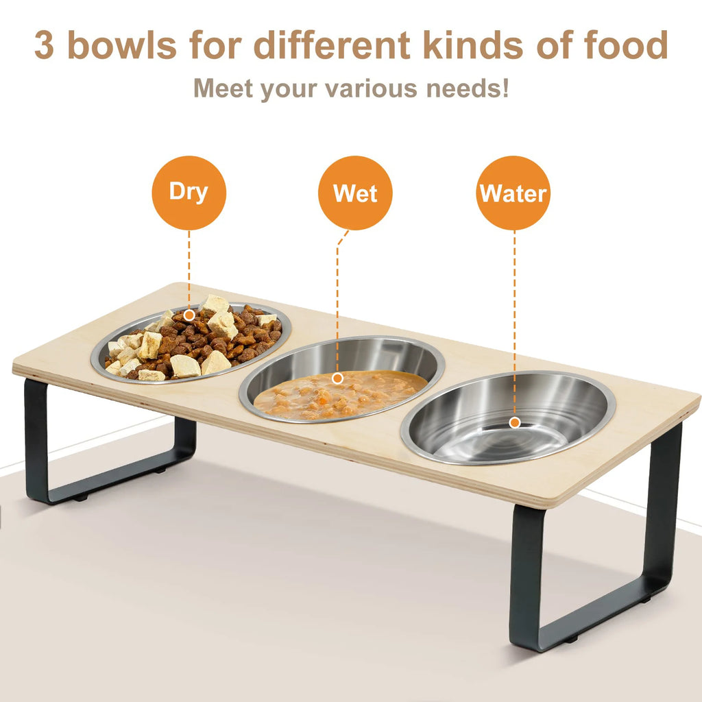 Elevated Cat Bowls Feeder 15° Tilted Raised Feeding & Watering Supplies Pet 3 Stainless Steel Bowls with Stand for Cats Puppies