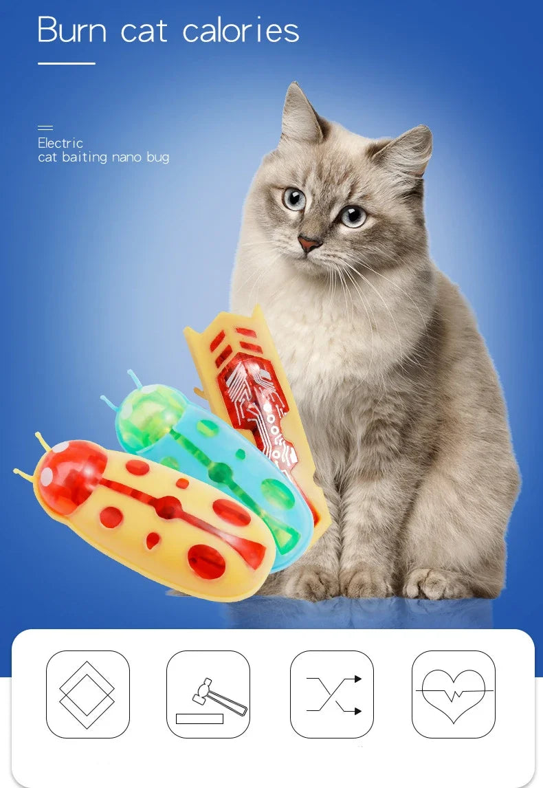 Mini jouet électrique interactif en forme de coccinelle pour chien et chat