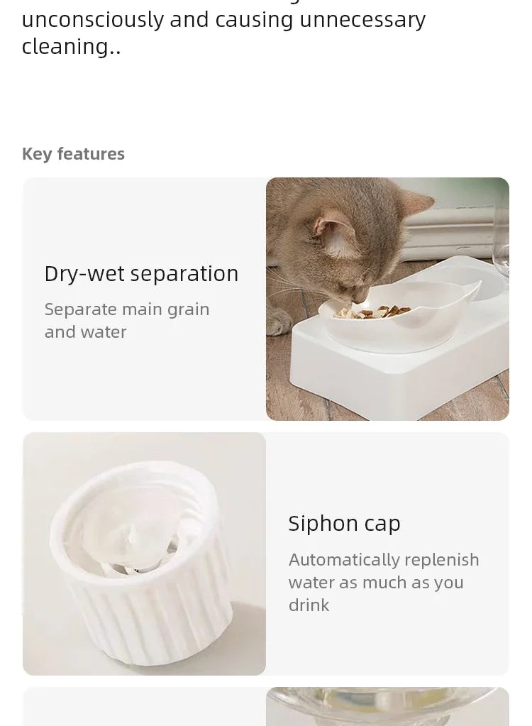 Gamelle pour animaux de compagnie, inclinable à 15 degrés pour protéger les vertèbres cervicales, distributeur automatique de nourriture pour chiens, fournitures d'alimentation pour animaux de compagnie