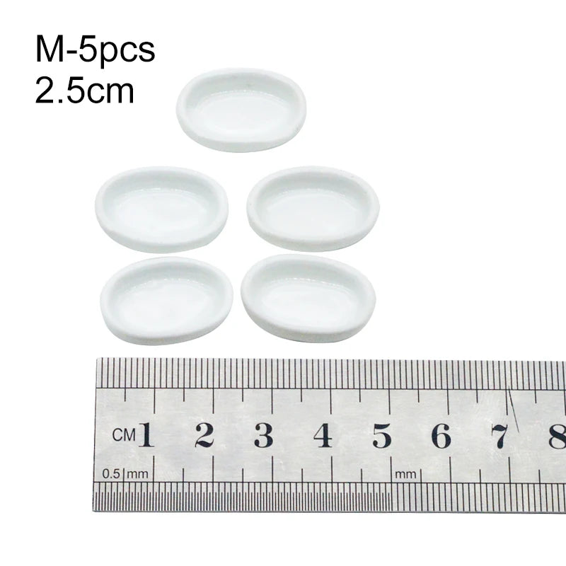 Various Size Ant farm Feeding Plate Insect Water Food Bowl Feeder Container Tool for Pet Anthill Ant House Ant Nest Accessories