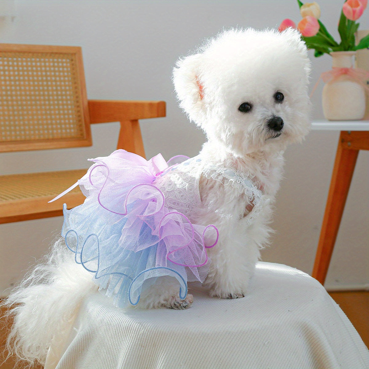 Dreamy Star Princess Lace Tulle Dog Dress - Polyester Knit Fabric Pet Apparel with Press Buckle Closure for Small Breeds, Ideal for Easter, Weddings, Birthdays, Bridal Gowns - Fashionable & Trendy Pet Outfit
