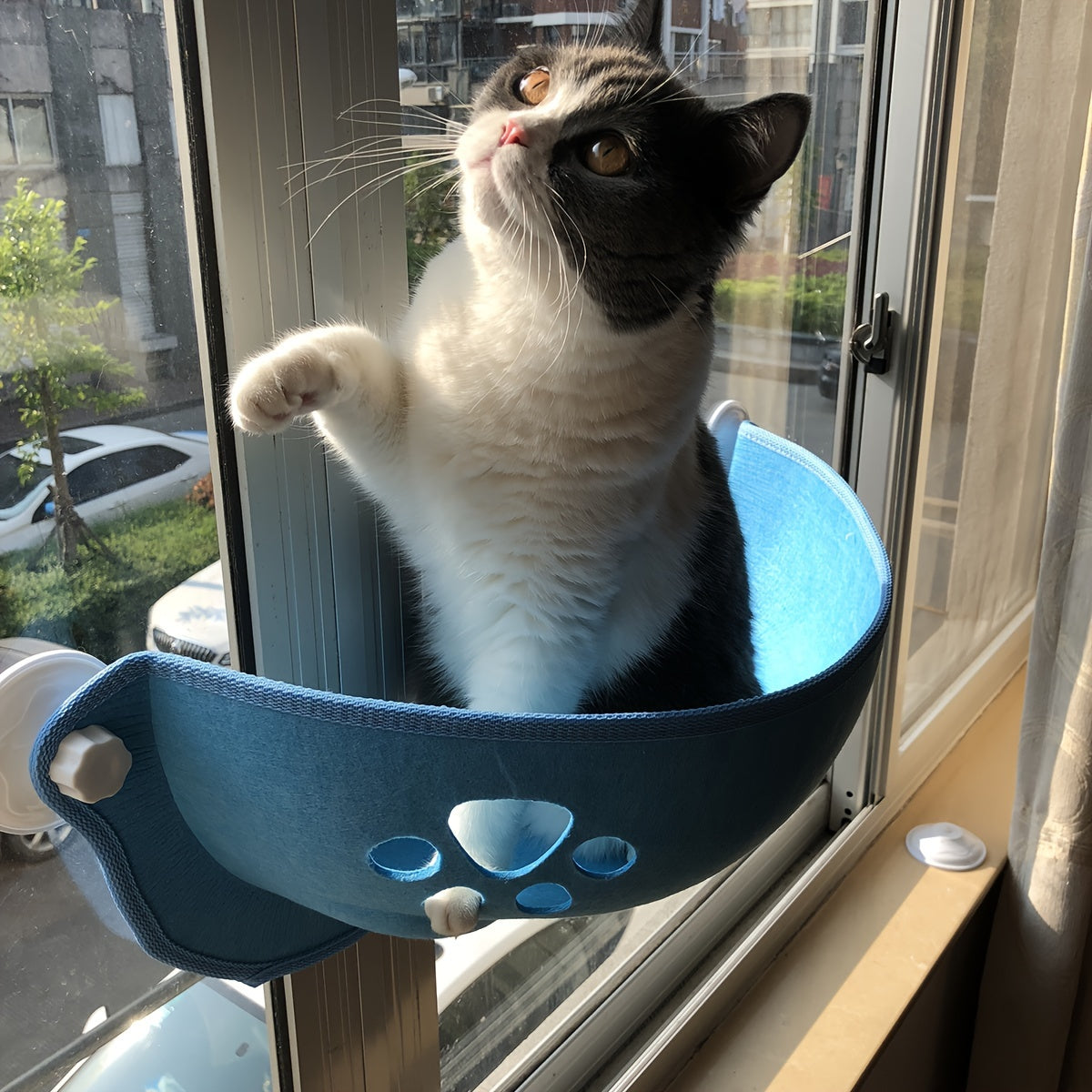 [1pc Window Cat Bed] 1pc Durable Polyester Fiber Crescent Window Cat Bed with Strong Suction Cups | Window Hanging Perch, Removable Pet Bed for Small & Medium Cats, No Assembly Needed | Sunbathing & Sleeping Spot, Ideal Gift