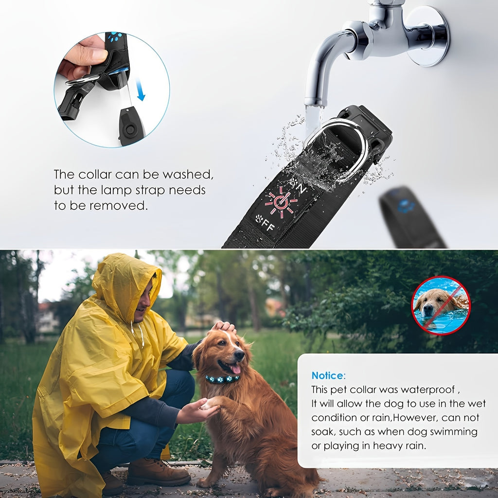 Rechargeable LED Dog Collar -, Color-Changing Light-Up Pet Collar with USB Charging, Durable Synthetic Faux Leather, Vibrant Animal Print Design, Evenly Spaced LED Strips for Even Lighting, Perfect for Nighttime Safety, Adjus
