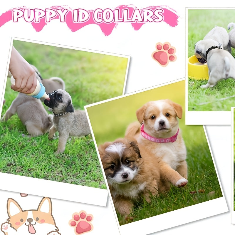 12set Dog Collar and Leash Set