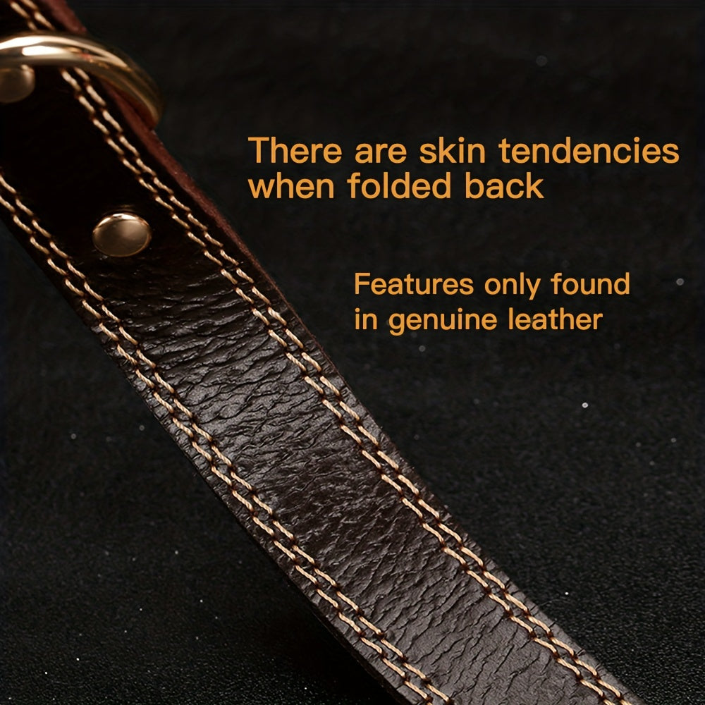 Personalized Dog Collar with Custom Engraving, Adjustable Pet Collar with Durable Buckle, Elegant Accessory for Small to Large Dogs