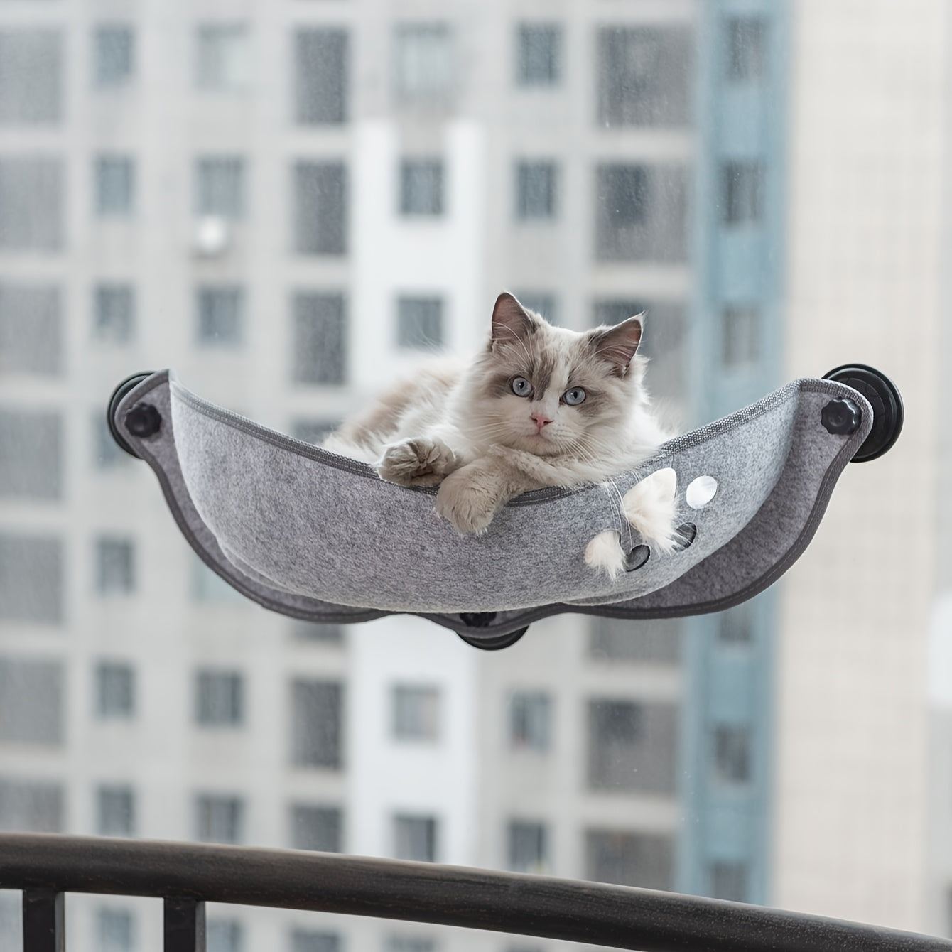 [1pc Window Cat Bed] 1pc Durable Polyester Fiber Crescent Window Cat Bed with Strong Suction Cups | Window Hanging Perch, Removable Pet Bed for Small & Medium Cats, No Assembly Needed | Sunbathing & Sleeping Spot, Ideal Gift
