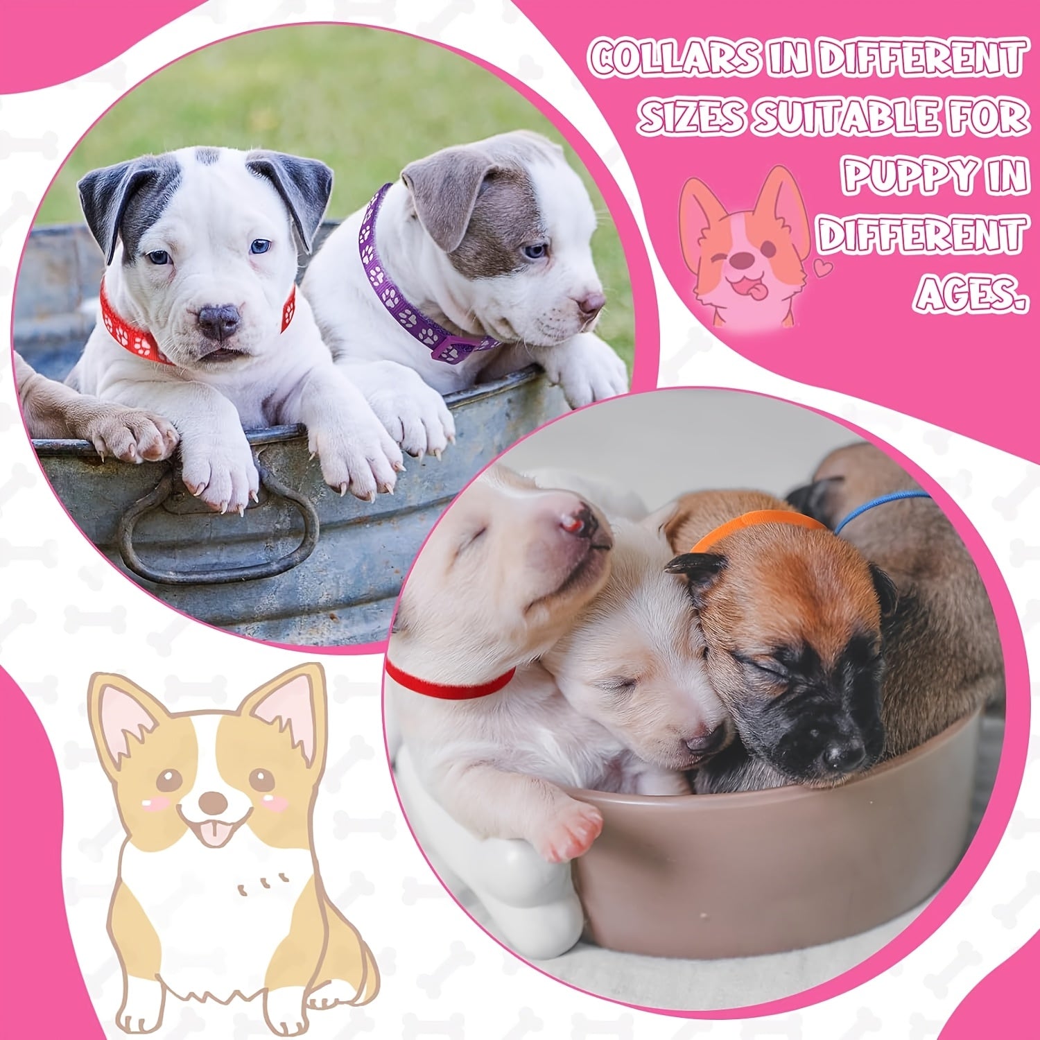 12set Dog Collar and Leash Set