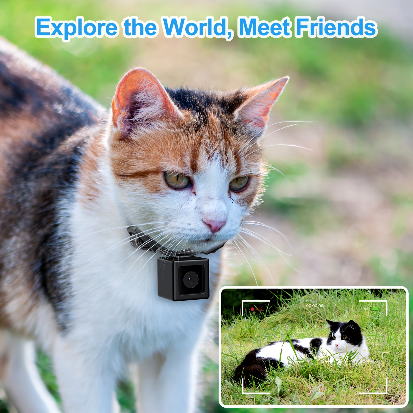 [No WiFi Needed] Cat Collar Camera | XS-Size | Cordless | Video Record | Pet Collar Camera Outdoor