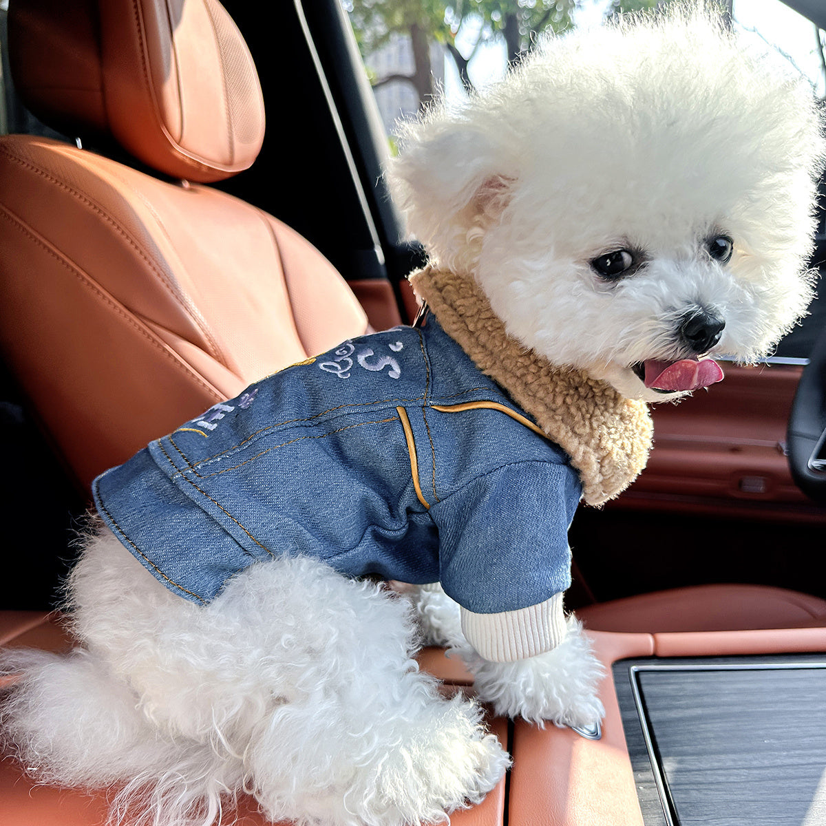 [Chic Denim Dog Jacket] Comfortable Chic Denim Dog Jacket for Small Breeds - Tail Wagging, Stylish Pet Apparel with Snap Closure, Perfect for Spring/Fall