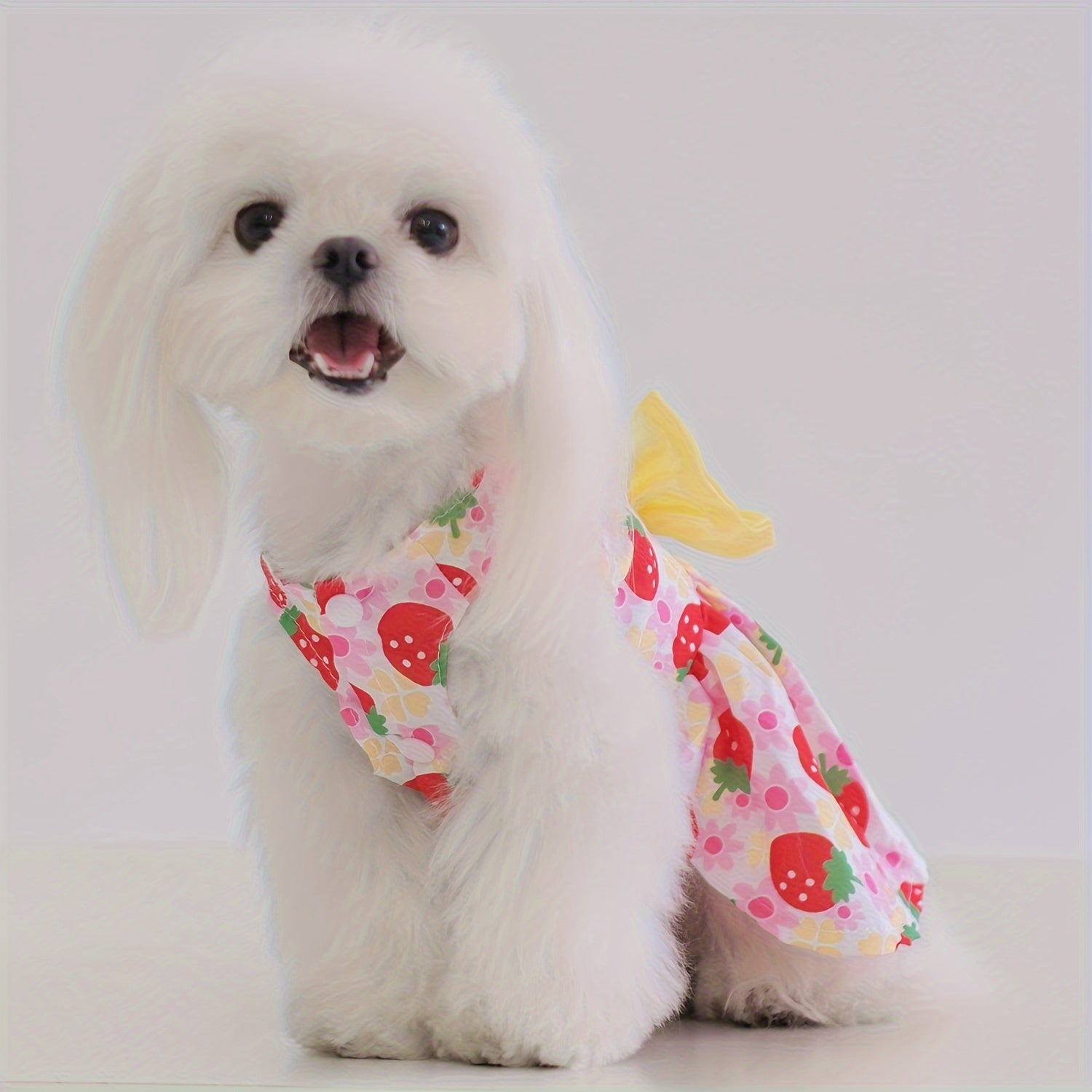5pcs Floral Princess Dress Set for Small Dogs & Cats - Breathable Summer Pet Apparel with Bowknot, Ideal for Yorkies, Bulldogs, Bichons, Pomeranians, Chihuahuas, for Autumn, Spring