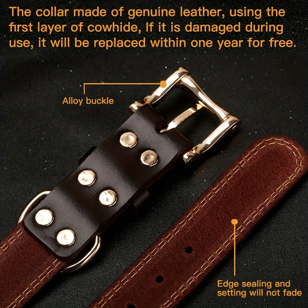 Personalized Dog Collar with Custom Engraving, Adjustable Pet Collar with Durable Buckle, Elegant Accessory for Small to Large Dogs