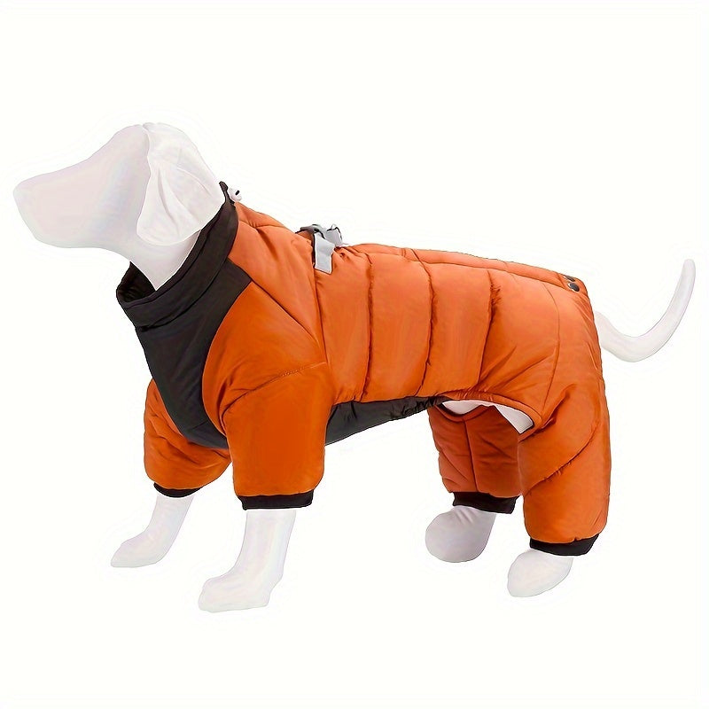 Cozy Winter Clothing - Keep Your Pets Warm - Pet Apparel