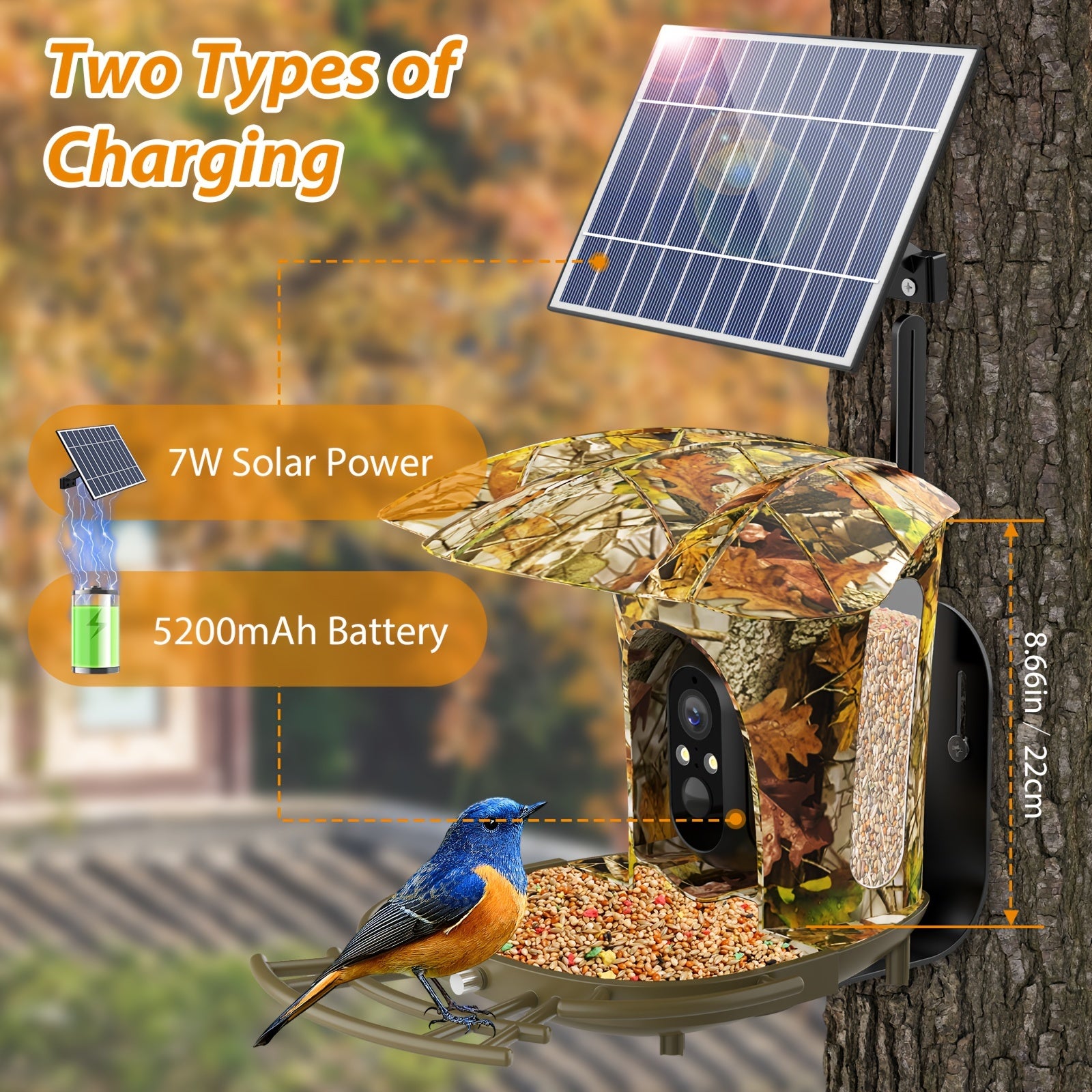 [Intelligent Bird Feeder Camera] 1080P Intelligent Bird Feeder Camera - Automatic Bird Camera Capture with 6W Solar Panel and 64G Memory Card - Suitable for Bird Enthusiasts and Wild Bird Viewing