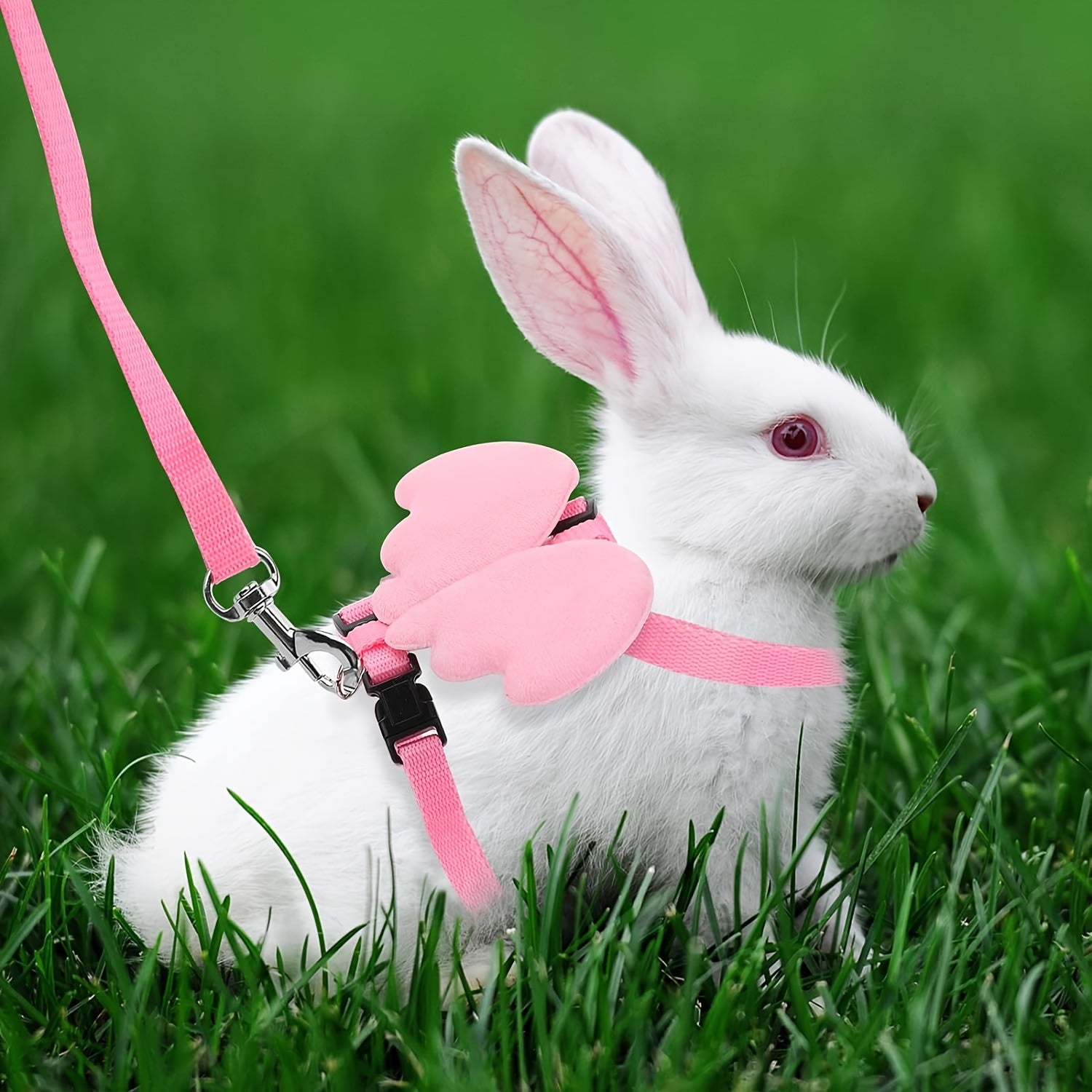 Adjustable Pet Harness and Leash Set with Cute Wings - Comfort Fit Vest for Rabbits, Puppies, Kittens, and Small Animals - Hand-Wash Only