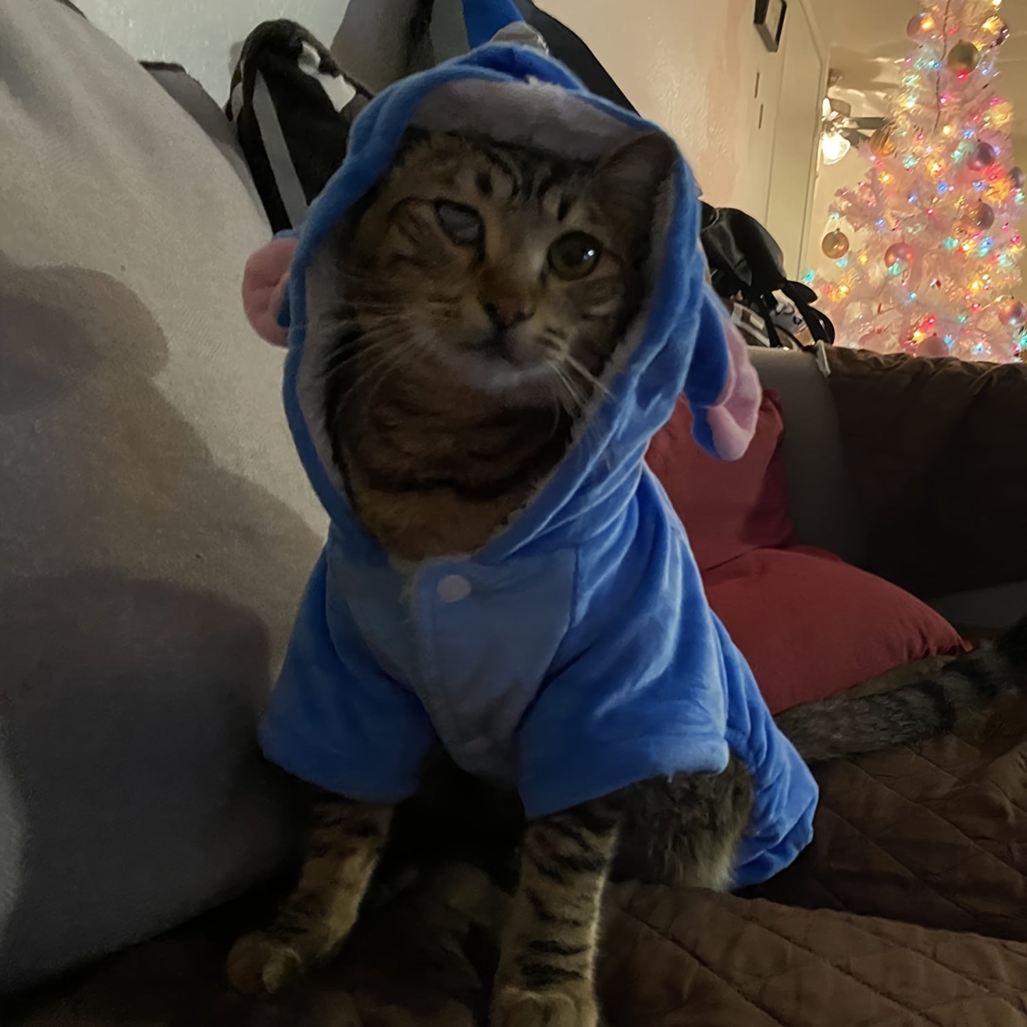Halloween & Christmas Pet Hoodies - Cute Cartoon Animal Costumes for Dogs & Cats, Soft Polyester Knit Fabric, XS to 7XL Sizes, Fun Holiday Outfits with Bats, Ghosts, and Snowmen Designs, Dog Costume, Festive Pet Apparel, Play