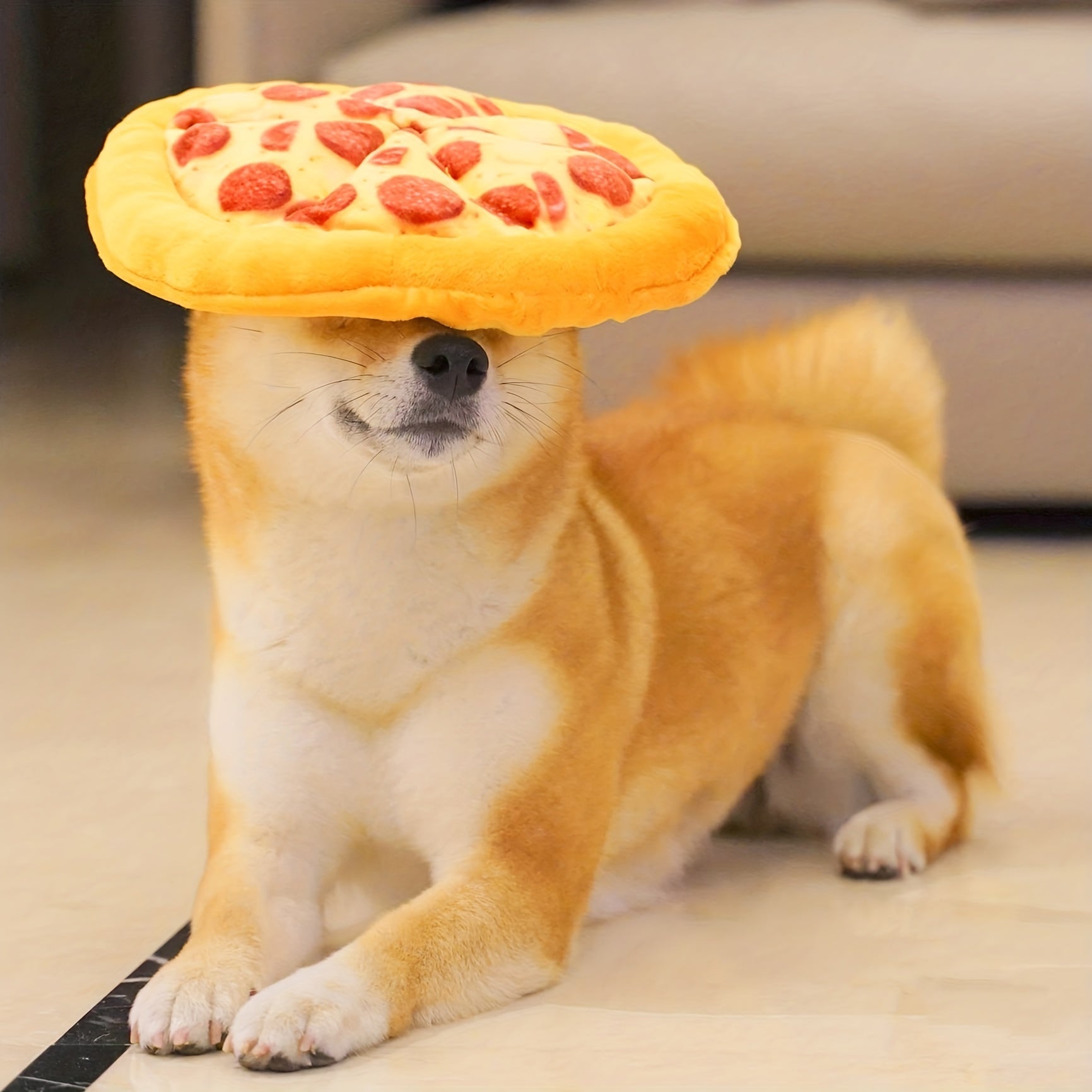 1pc Interactive Pizza-Shaped Plush Chew Toy for Dogs, Durable Squeaky Pet Toy for Interactive Play