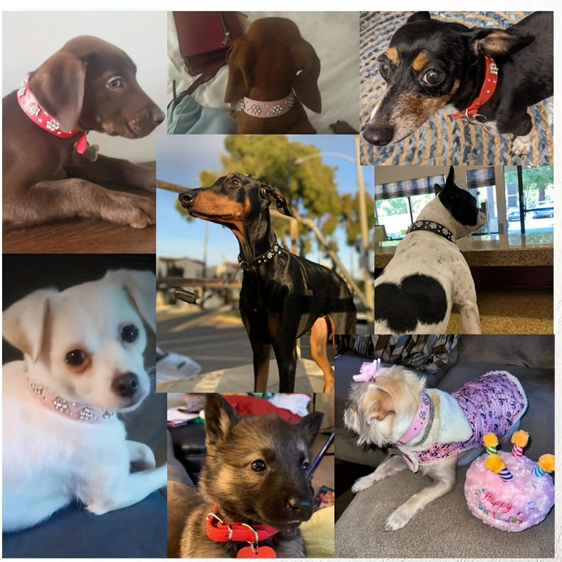 Adjustable Bling Dog Collar with Flower Rhinestones, Hand Wash Only, for Small to Large Pets, Cute Sparkling Pet Collar