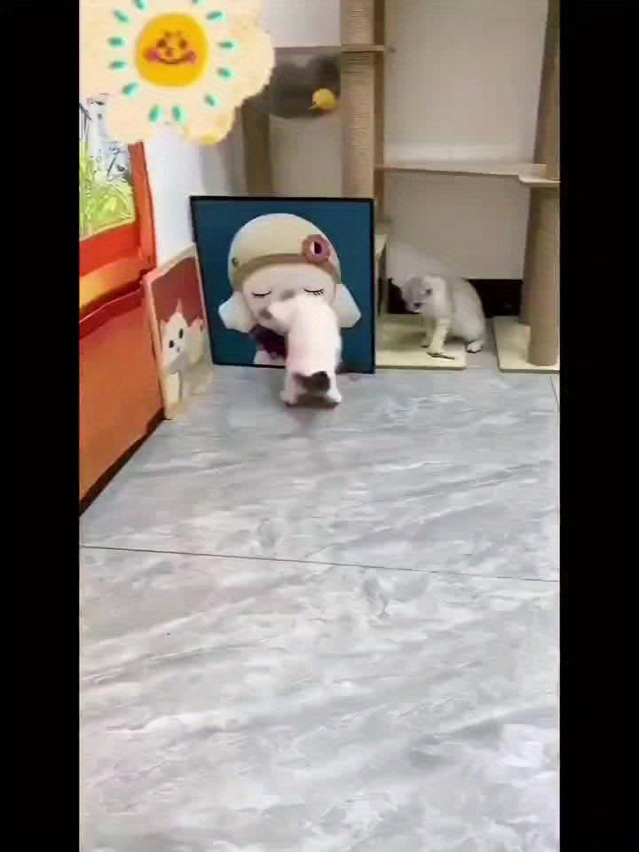 Cat toy electric charging LD light automatic obstacle avoidance plush mouse cat self high automatic relief from boredom and bite resistant pet toy