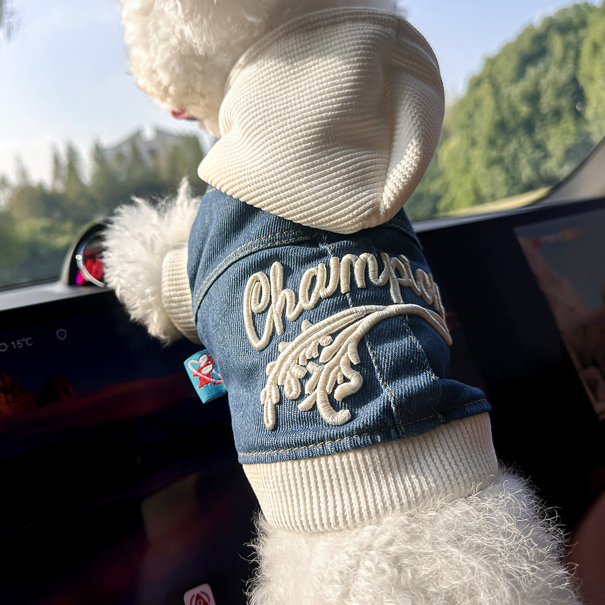 Chic Denim Dog Jacket for Small Breeds - Cozy & Stylish Pet Apparel with Snap Closure, Perfect for Fall/Winter