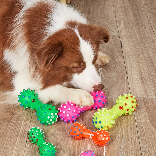 Randomly Shipped Pet Chew and Sound Toys