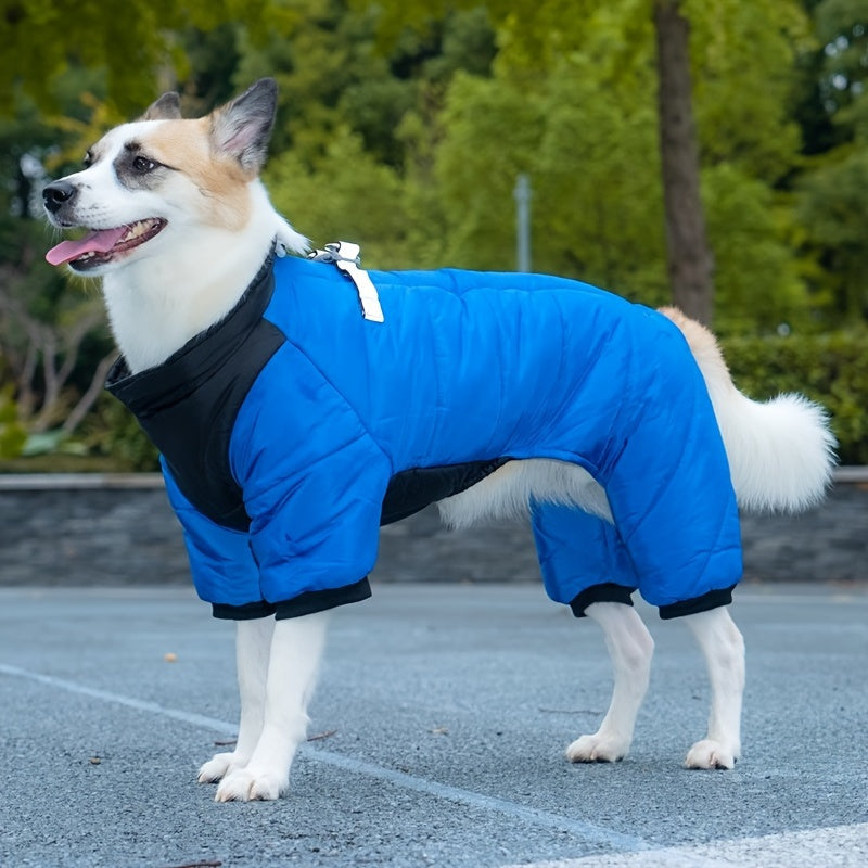 Cozy Winter Clothing - Keep Your Pets Warm - Pet Apparel