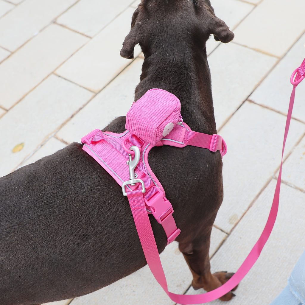 Fashionable And Cute Corduroy Pet Harness