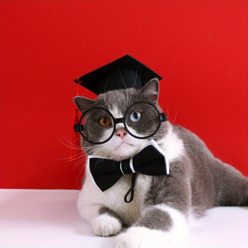 [Adorable Graduation Cap] Adorable 1pc Graduation Cap for Pets | Square Academic Hat with Tassel, Polyester, Perfect for Cat & Dog Role Play, Party Dress Up, Small Medium Breeds, Pet Accessories, Durable Polyester Hat