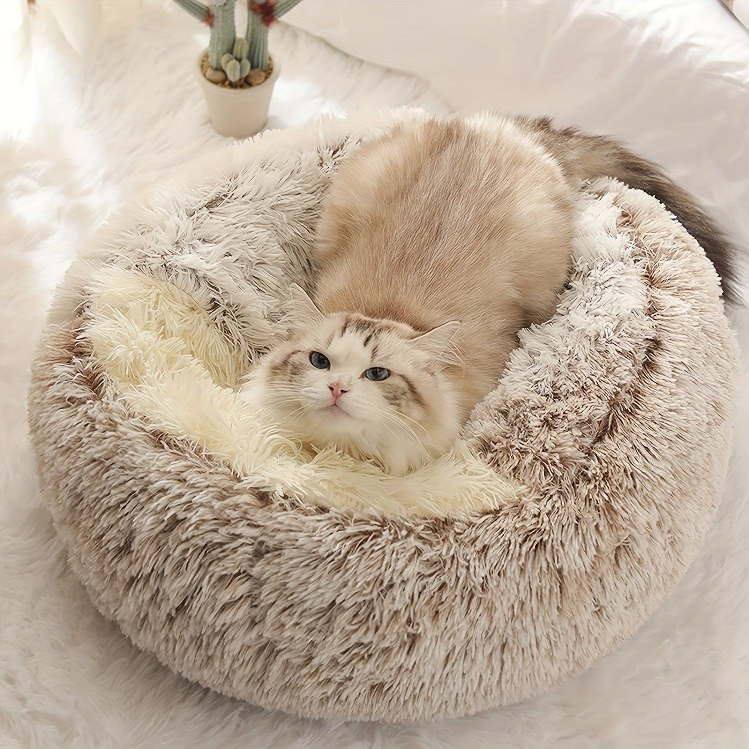 Cozy Luxurious Plush Donut Pet Bed - Hooded, Non-Slip Bottom, Easy to Clean - for Cats & Small Dogs, Perfect for Winter Comfort